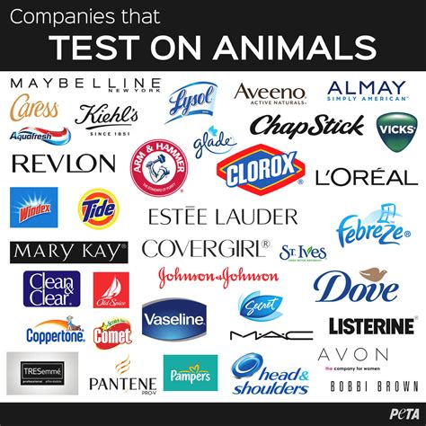 Companies That Do Test on Animals 